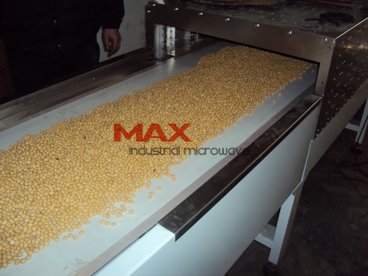 Soy Nuts Drying and Roasting Microwave Machine